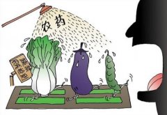 農(nóng)藥殘留檢測(cè)儀可助力學(xué)校食堂農(nóng)殘檢測(cè)