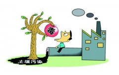 您家的超市配備農(nóng)藥殘留檢測儀了嗎?