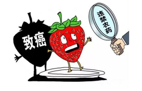 農藥殘留檢測儀 農藥殘留檢測儀