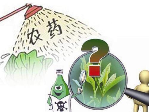 如何減少農藥殘留? 如何減少農藥殘留?
