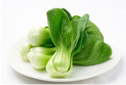 農(nóng)藥殘留檢測儀 農(nóng)藥殘留檢測儀