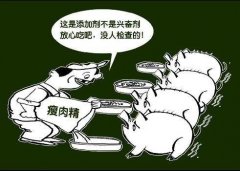 土雞蛋一天攝入多少合適？