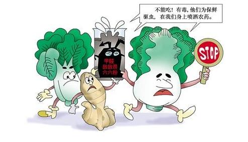 蔬果農藥檢測儀器保證食品安全 蔬果農藥檢測儀器保證食品安全