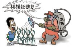 拒絕農藥殘留,從這幾點做起!