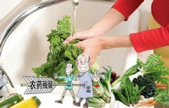 為什么農藥殘留檢測儀的應用能夠獲得人們的認可?