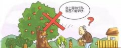 市面上的食品安全如何保證?
