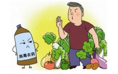 農藥殘留檢測儀可測定水果中農殘