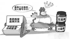如何利用食品安全檢測儀來維護食品安全?