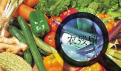 談談韭菜農殘的危害