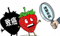 孩童的飲食安全如何注意?