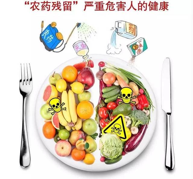 農(nóng)藥殘留檢測(cè)設(shè)備 農(nóng)藥殘留檢測(cè)設(shè)備